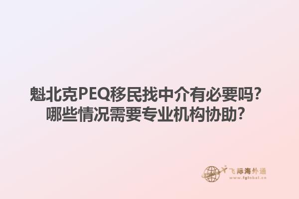 魁北克PEQ移民找中介有必要嗎？哪些情況需要專業(yè)機(jī)構(gòu)協(xié)助？1.jpg