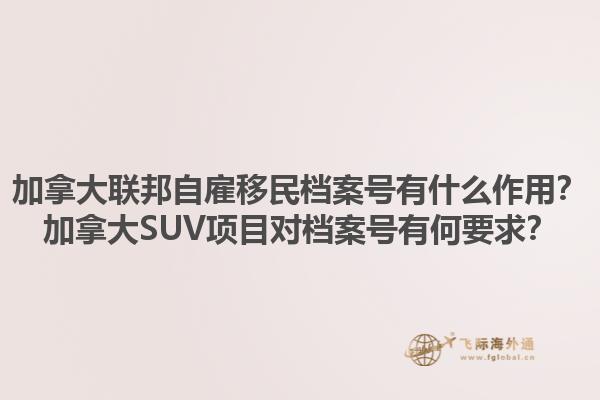 加拿大聯(lián)邦自雇移民檔案號有什么作用？加拿大SUV項(xiàng)目對檔案號有何要求？1.jpg