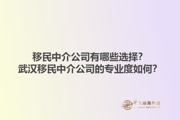 移民中介公司有哪些選擇？武漢移民中介公司的專業(yè)度如何？1.jpg