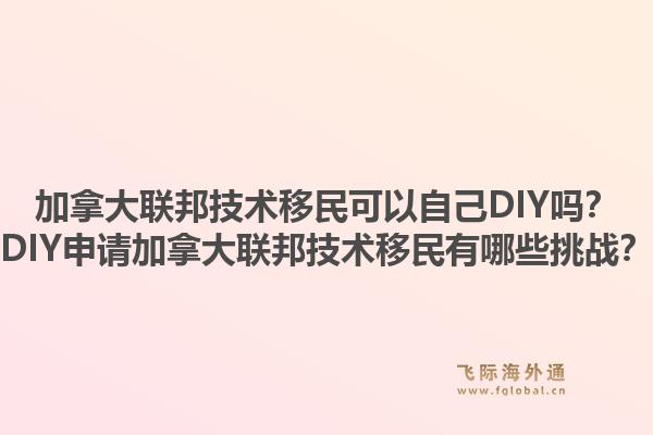 加拿大聯(lián)邦技術移民可以自己DIY嗎？DIY申請加拿大聯(lián)邦技術移民有哪些挑戰(zhàn)？1.jpg