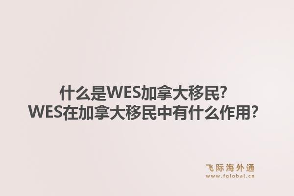 什么是WES加拿大移民？WES在加拿大移民中有什么作用？
