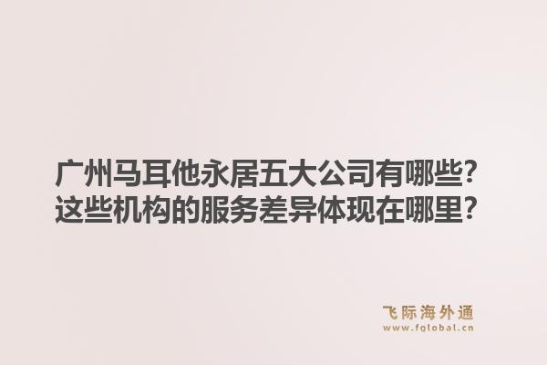 廣州馬耳他永居五大公司有哪些？這些機構(gòu)的服務(wù)差異體現(xiàn)在哪里？