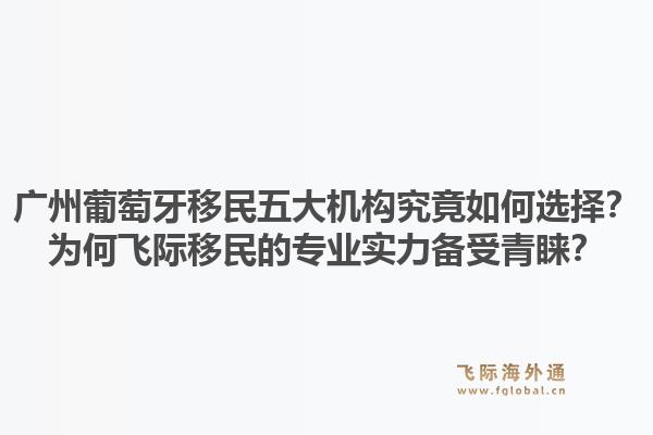 廣州葡萄牙移民五大機構(gòu)究竟如何選擇？為何飛際移民的專業(yè)實力備受青睞？